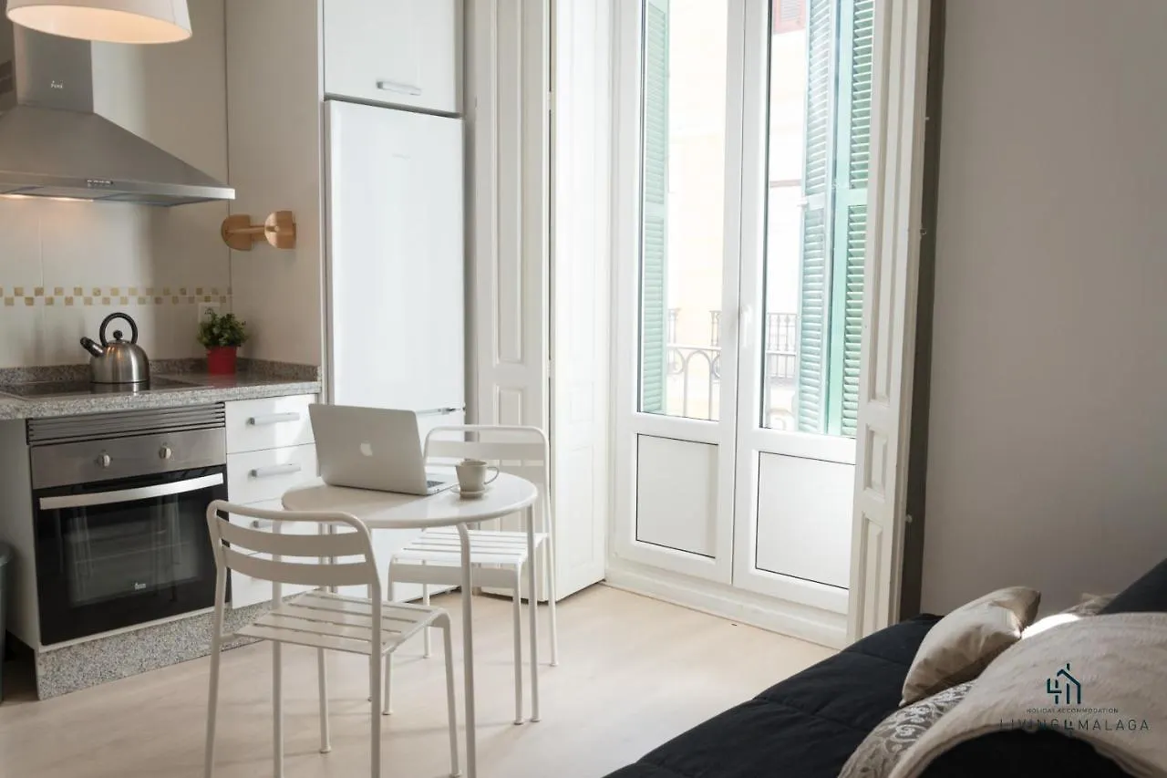 Living4Malaga Molina Lario Apartment
