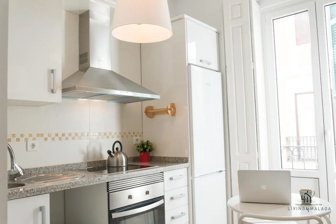 Living4Malaga Molina Lario Apartment